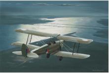 TigerMoth
